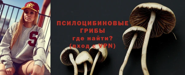стаф Дмитриев