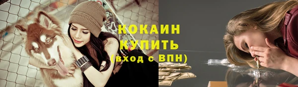 каннабис Дмитров