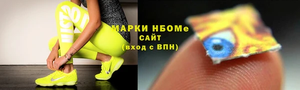 стаф Дмитриев