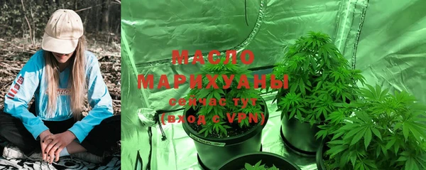 стаф Дмитриев