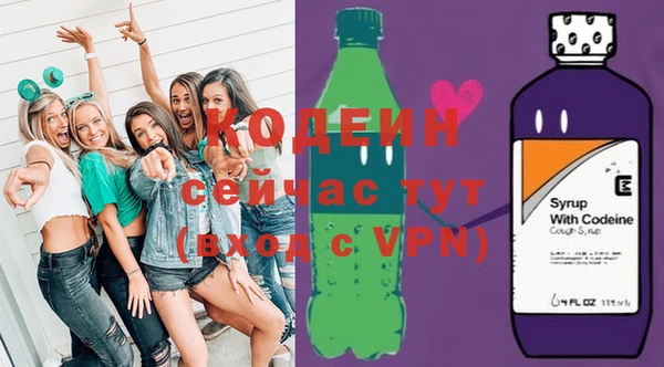 стаф Дмитриев