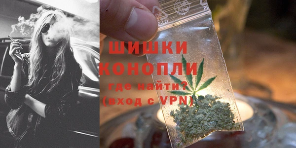 стаф Дмитриев