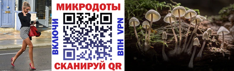 Псилоцибиновые грибы Psilocybe  Купить где  Трёхгорный 